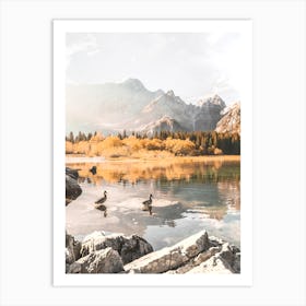 Ducks In A Lake, Italian Alps Art Print