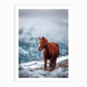 Horse On A Snow Mountain Art Print