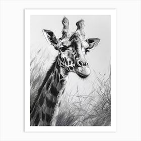 Giraffe In The Grass Pencil Drawing 10 Art Print