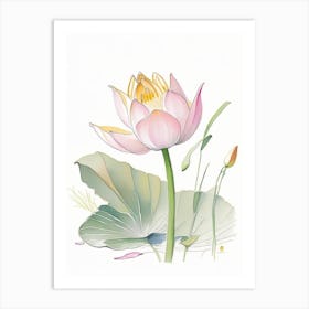 Lotus Flower In Garden Pencil Illustration 3 Art Print