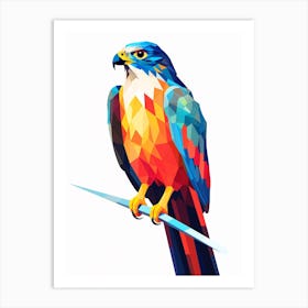 Colourful Geometric Bird Falcon 1 Art Print