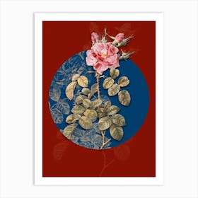Vintage Botanical Four Seasons Rose in Bloom on Circle Blue on Red n.0223 Art Print