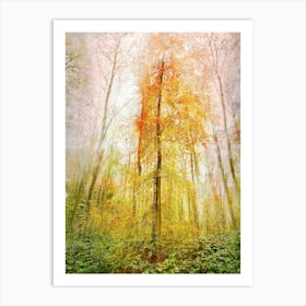 Autumn Thicket Art Print