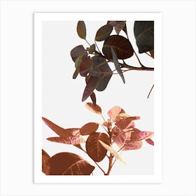 Tropical Leaf Art Print