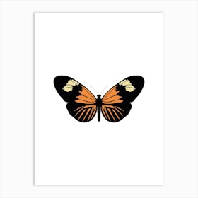 Heliconius Burneyi Butterfly Art Print