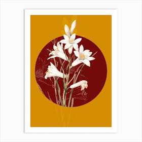 Vintage Botanical St. Bruno's Lily on Circle Red on Yellow n.0098 Art Print