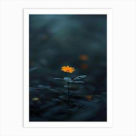 Single Flower In The Dark 38 Art Print