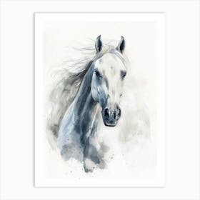 White Horse Canvas Print Art Print