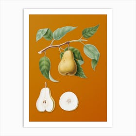 Vintage Pear Botanical on Sunset Orange n.0532 Art Print