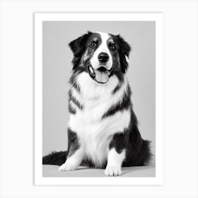 Australian Shepherd B&W Pencil Dog Art Print