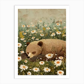 Sloth Bear Resting In A Field Of Daisies Storybook Illustration 2 Art Print