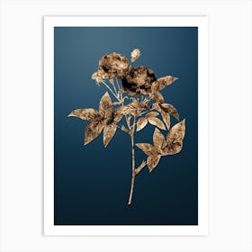 Gold Botanical Van Eeden Rose on Dusk Blue n.4483 Art Print