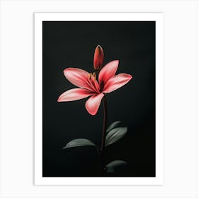 Pink Lily 1 Art Print