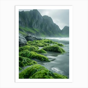 Moss On The Beach Art Print