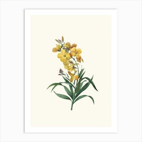 Antique Vintage Flower Illustration - Yellow 1 Art Print