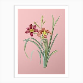 Vintage Orange Day Lily Botanical on Soft Pink n.0143 Art Print