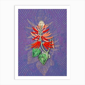 Vintage Naked Flowering Erythrina Botanical Illustration on Veri Peri n.0158 Art Print