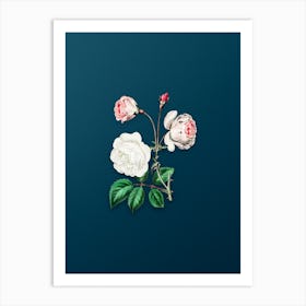 Vintage Ruga Rose Flower Botanical Art on Teal Blue n.0045 Art Print