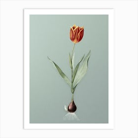 Vintage Tulip Botanical Art on Mint Green n.0030 Art Print