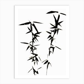 Black and white bamboo Art Print