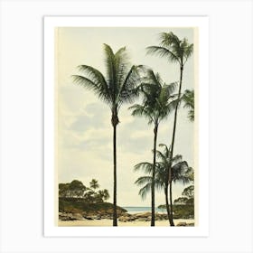 Little Cove Beach Australia Vintage Art Print