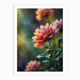 Peony Flower Art Print