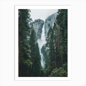 Waterfall Forest (31) Art Print