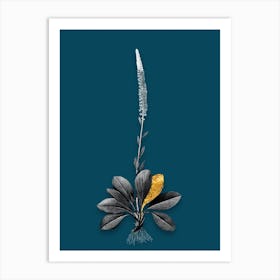 Vintage Blazing Star Black and White Gold Leaf Floral Art on Teal Blue n.1000 Art Print