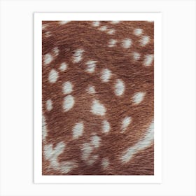 Deer Fur Texture Art Print