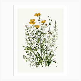 Vintage Botanical Galleria Style Wildflower Painting 22 Art Print