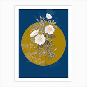 Vintage Botanical White Burnet Roses on Circle Yellow on Blue Art Print