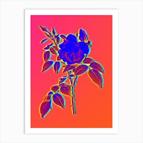 Neon Fragrant Rosebush Botanical in Hot Pink and Electric Blue n.0063 Art Print