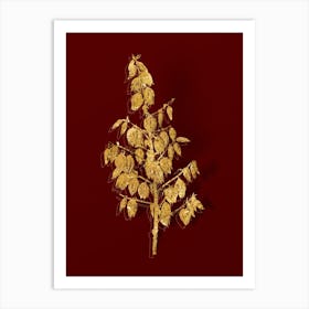 Vintage Adam's Needle Botanical in Gold on Red n.0338 Art Print