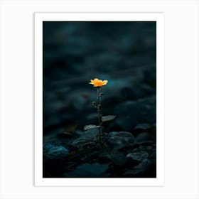 Single Yellow Flower 45 Art Print