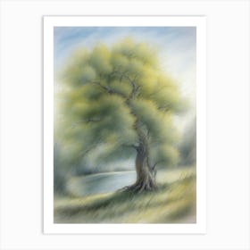 Willow Tree Swaying In The Wind Art Print