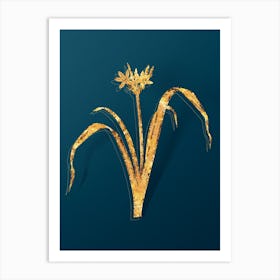 Vintage Small Flowered Pancratium Botanical in Gold on Teal Blue n.0004 Art Print