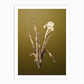Gold Botanical Crimean Iris on Dune Yellow n.0137 Art Print