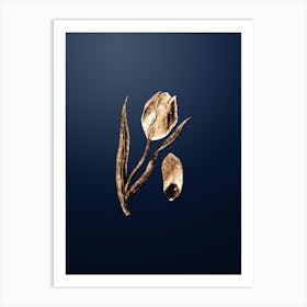 Gold Botanical Sun's Eye Tulip on Midnight Navy n.3385 Art Print