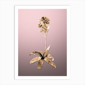 Gold Botanical Sun Star on Rose Quartz n.2227 Art Print