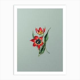 Vintage Red Strong Smelling Tulip Botanical Art on Mint Green n.0449 Art Print