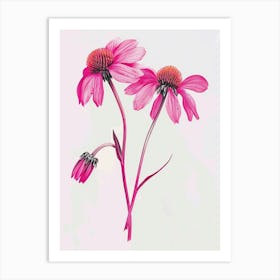 Hot Pink Coneflower Art Print