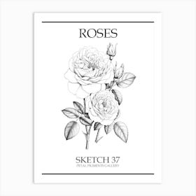 Roses Sketch 37 Poster Art Print