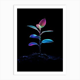 Colorful Plant On Black Background Art Print