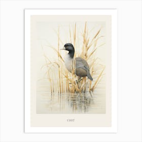 Vintage Bird Drawing Coot 4 Poster Art Print