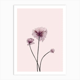 Minimalist Flower Art Print