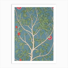 Japanese Zelkova tree Vintage Botanical Art Print