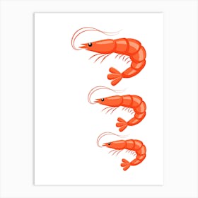 Shrimp Vector Illustration. Art Print