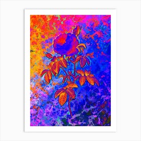 Provence Rose Bloom Botanical in Acid Neon Pink Green and Blue Art Print