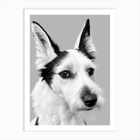 Fox Terrier (Smooth) B&W Pencil Dog Art Print