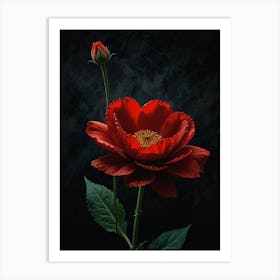 Red Peony Art Print